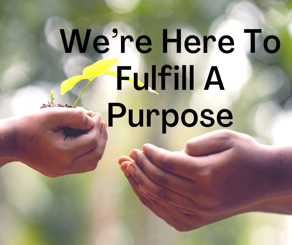 Community Church Spruce Grove